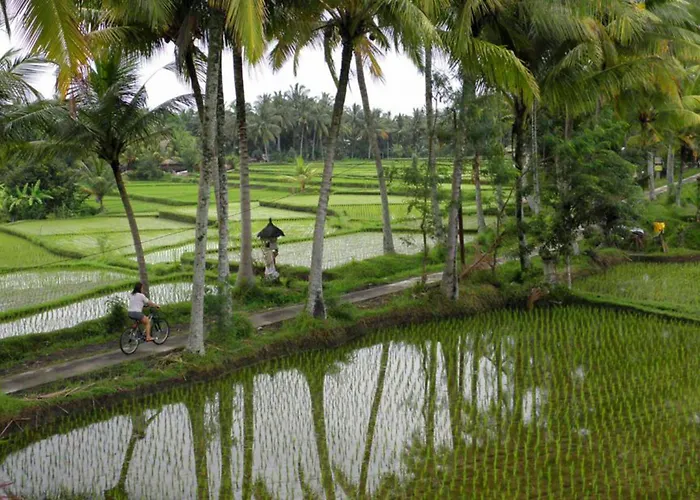 Satori Villas Bali Ubud 